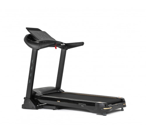 Беговая дорожка DFC SANTANA Pro T757