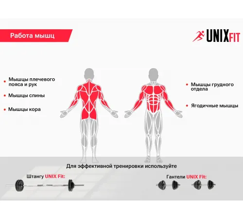 Скамья силовая универсальная UNIX Fit BENCH 110