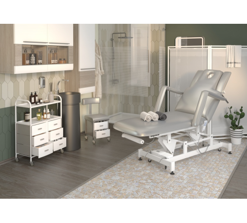 Массажный стол многофункциональный электрический Элегия-2А (МД-850), 2 мотора