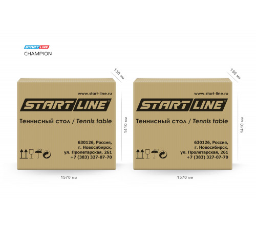 Теннисный стол Champion профессиональный турнирный 